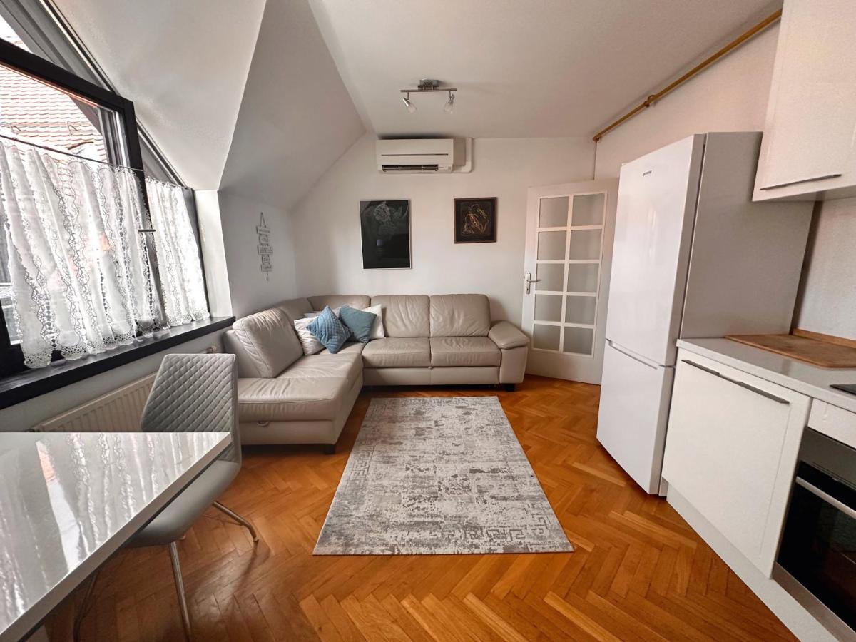 Charming City Loft Apartment ليوبليانا المظهر الخارجي الصورة